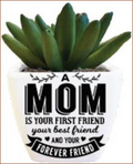 A Mom is your first friend...Sentiment Succulent