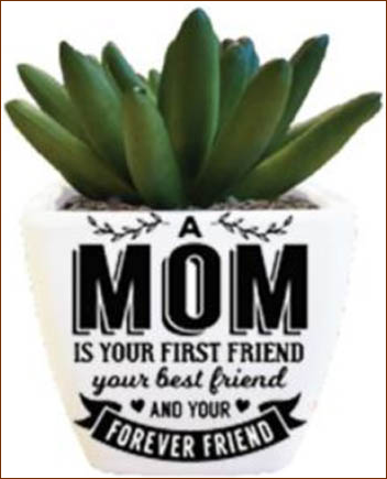 A Mom is your first friend...Sentiment Succulent