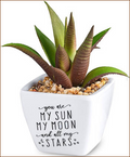 You are My Sun My Moon and all my Stars Sentiment Succulent