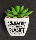 Save The Planet Sentiment Succulent