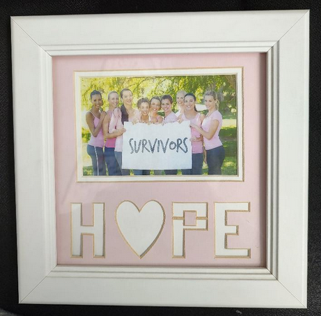 Breast Cancer Hope/Survivors Frame