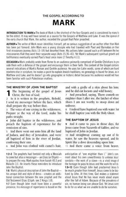 The KJV Study Bible Large Print