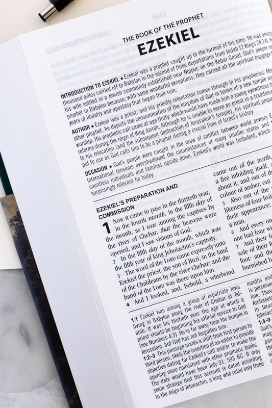 KJV Study Bible Large Print Evergreen