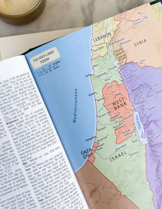 KJV Study Bible Large Print Evergreen