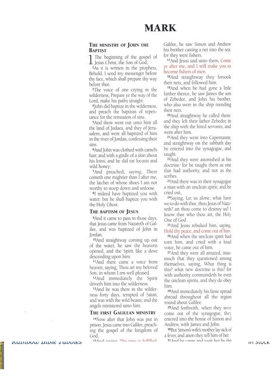King James Version Holy Bible Personal Reflections Edition