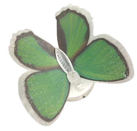 Fiber Optic Butterfly