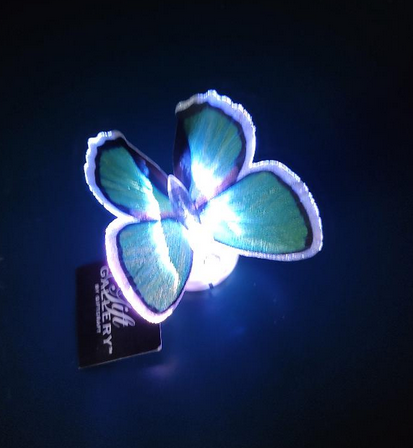 Fiber Optic Butterfly