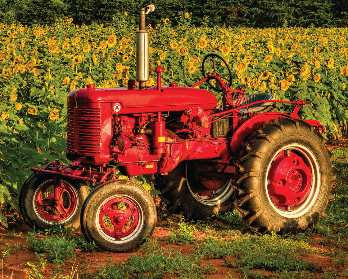 American Made 1,000 Piece Jigsaw Puzzle