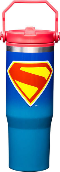 Superman Legacy 30 Oz. Stainless Steel Water Bottle