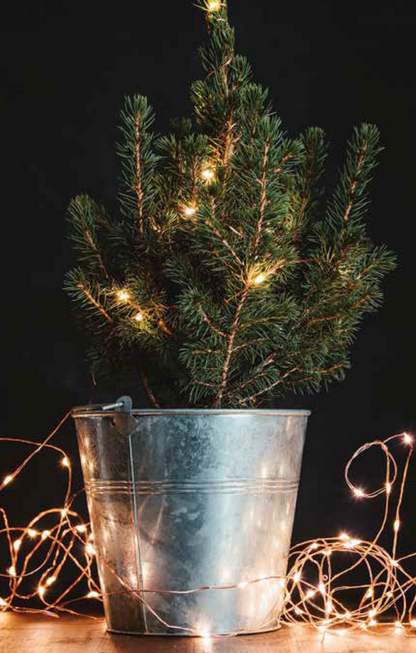 Lumin Essence™ Copper Wire Mini Lights