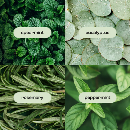 Eucalyptus Rosemarey Mint Mini Hand Creme
