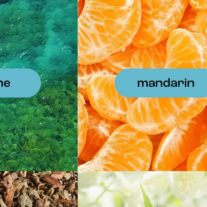 Sea Salt Citrus Mini Hand Creme