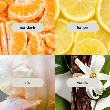 Coconut Ambre Vanilla Mini Hand Creme