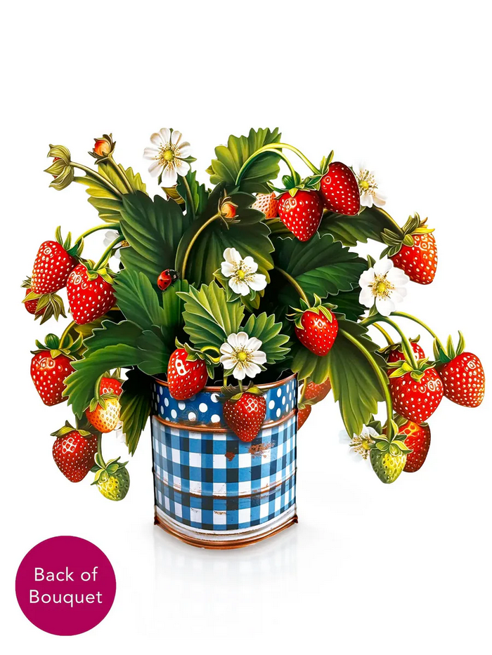 Strawberry Blossom FreshCut Paper - Pop Up Flower Bouquet