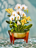 Serenity Orchid FreshCut Paper - Pop Up Flower Bouquet