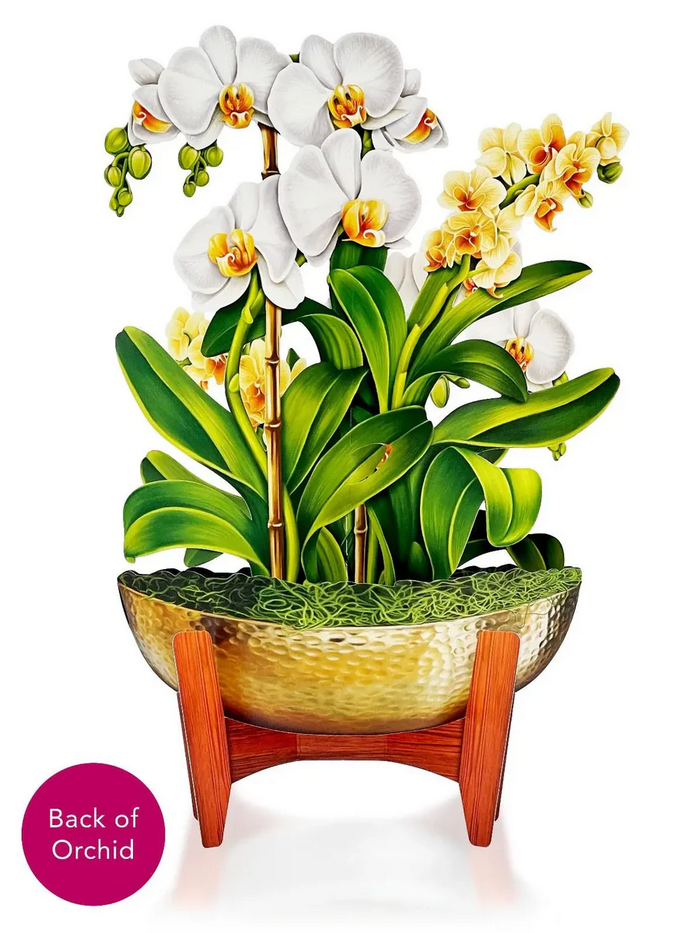 Serenity Orchid FreshCut Paper - Pop Up Flower Bouquet
