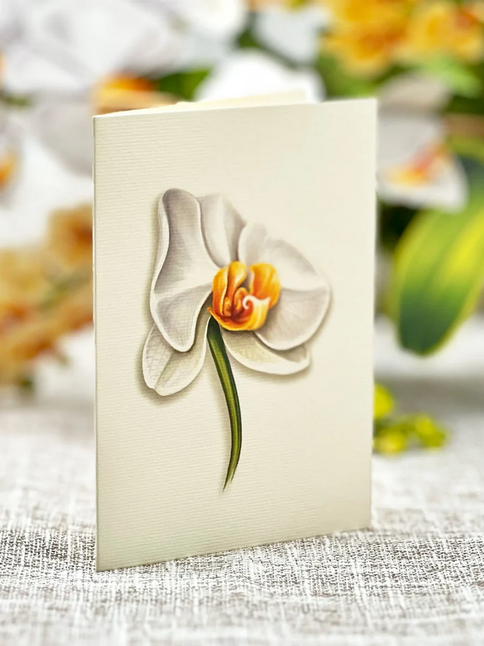 Serenity Orchid FreshCut Paper - Pop Up Flower Bouquet