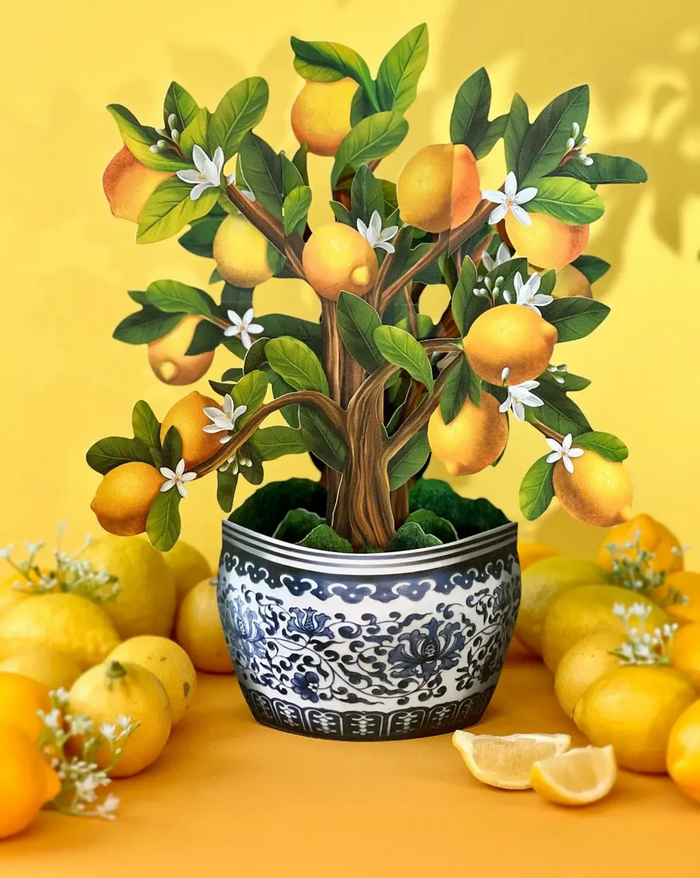 Lemon Blossom Tree FreshCut Paper - Pop Up Bouquet
