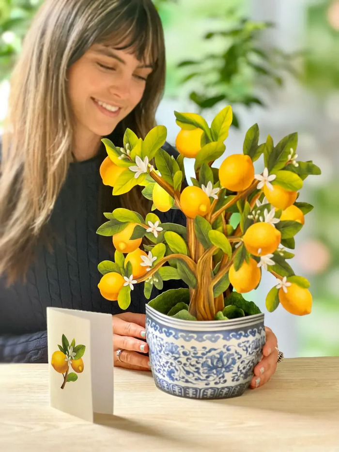 Lemon Blossom Tree FreshCut Paper - Pop Up Bouquet