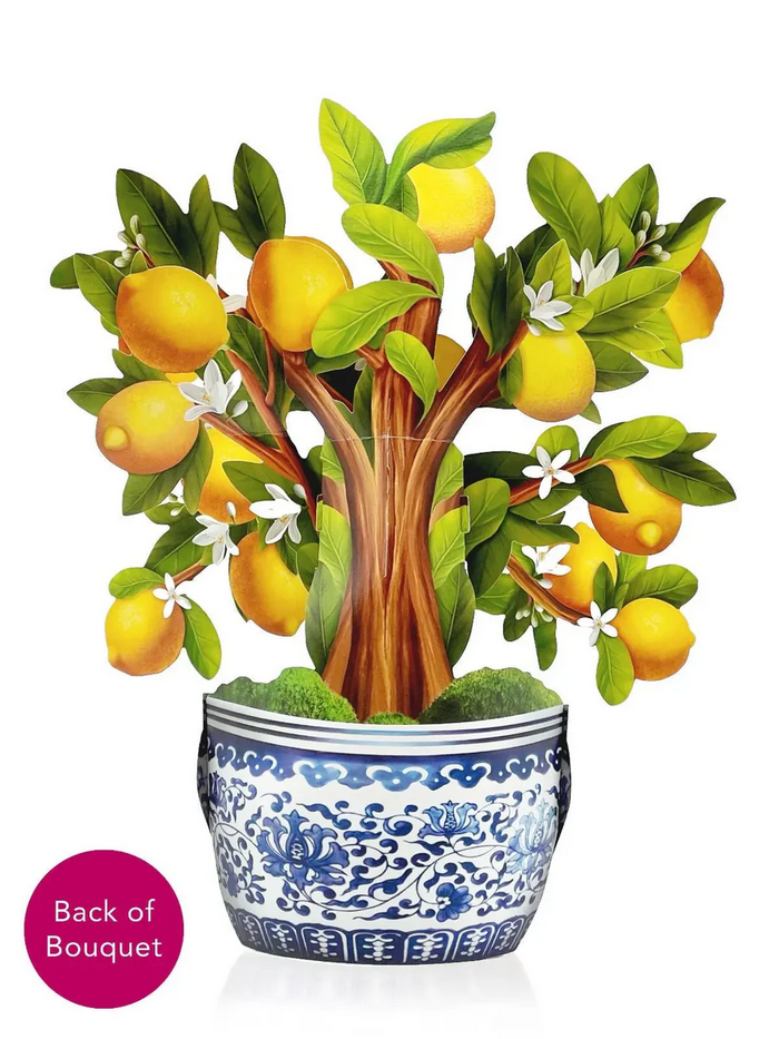 Lemon Blossom Tree FreshCut Paper - Pop Up Bouquet