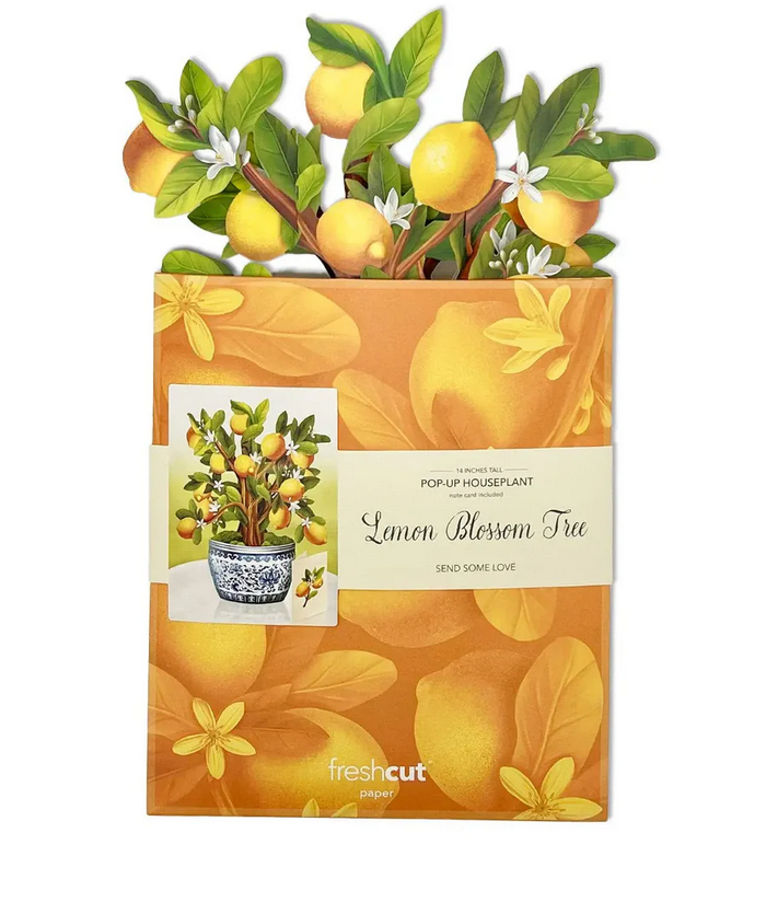 Lemon Blossom Tree FreshCut Paper - Pop Up Bouquet