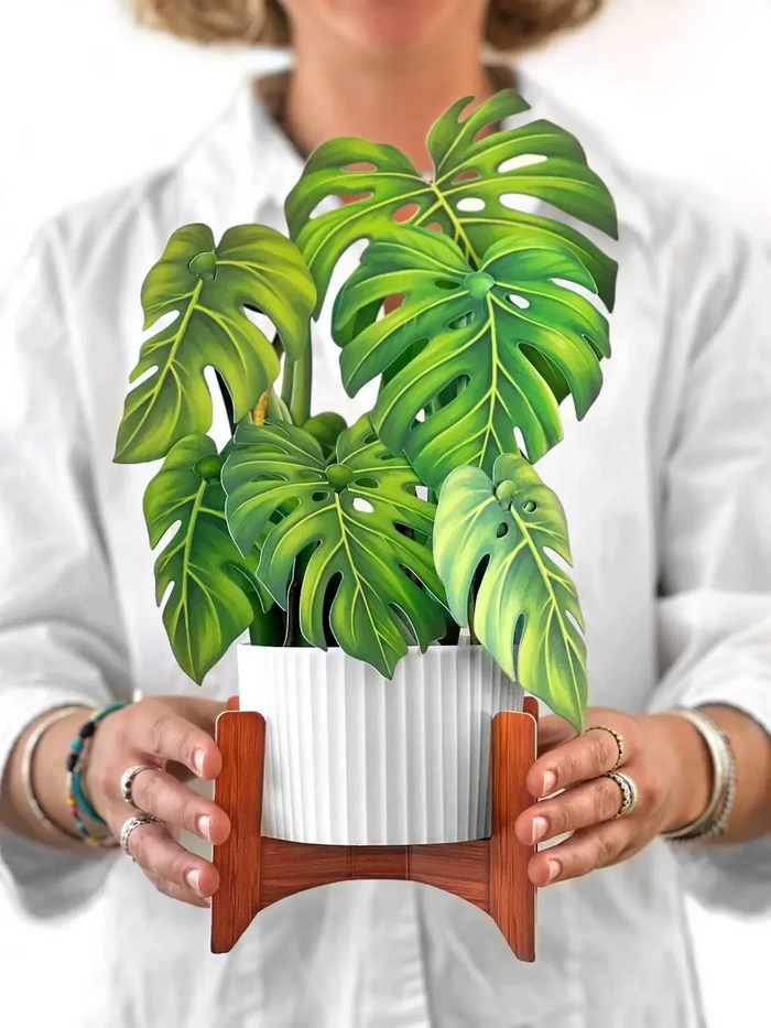 Monstera FreshCut Paper - Pop Up Bouquet