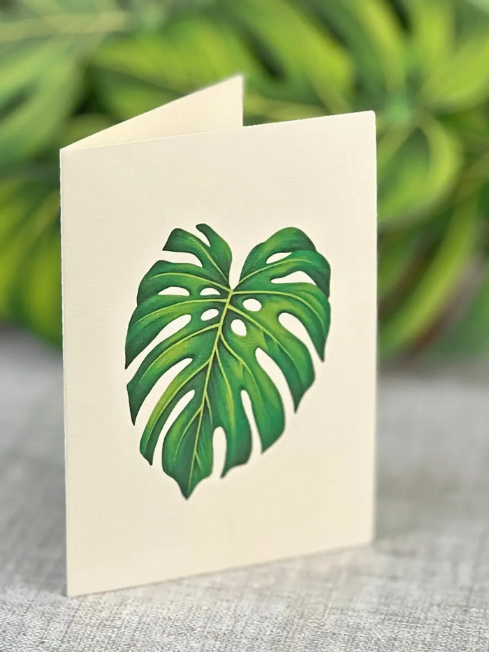 Monstera FreshCut Paper - Pop Up Bouquet