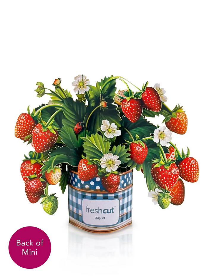 Mini Strawberry Blossom FreshCut Paper - Pop Up Flower Bouquet