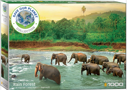 Rainforest Jigsaw Puzzle