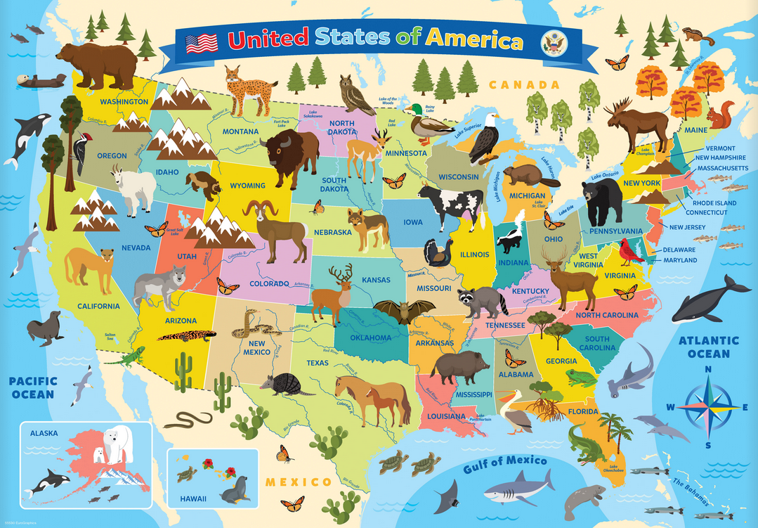 Map of the United States of America Jigsaw Puzzle