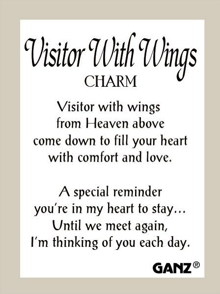 Visitor With Wings Pocket Stone/Charm