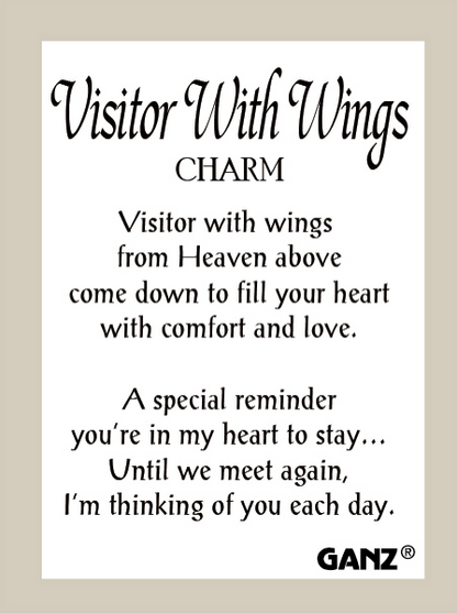 Visitor With Wings Pocket Stone/Charm