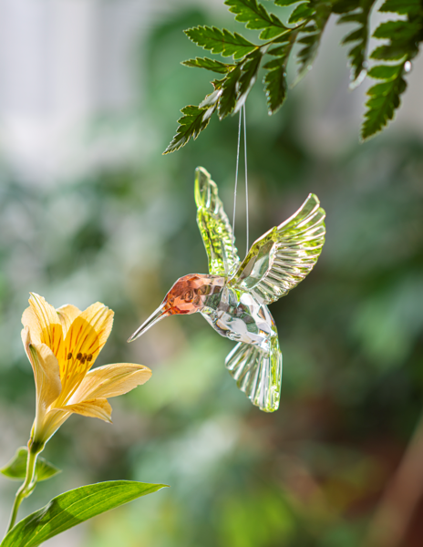 Acrylic Red Throated Hummingbird Ornament