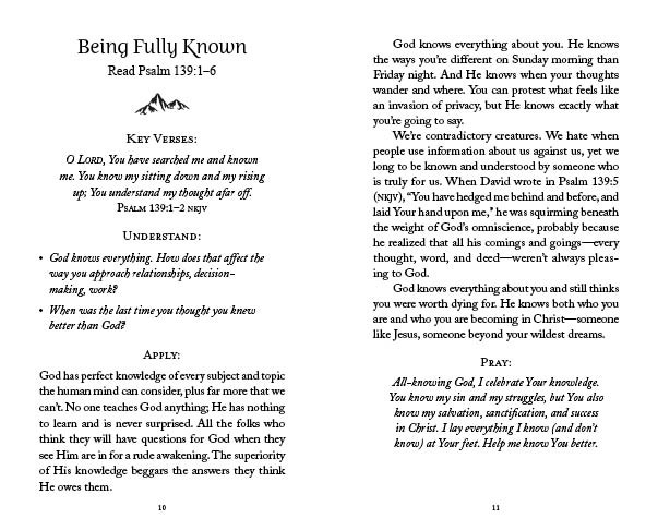 The 5-Minute Bible Study For Men - Pursuing God