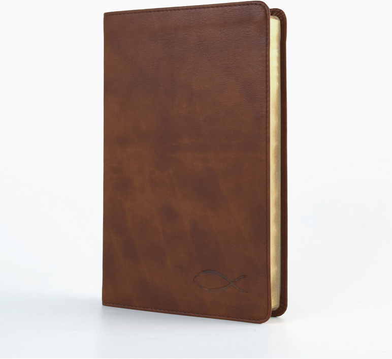 The KJV Study Bible/Chestnut Brown