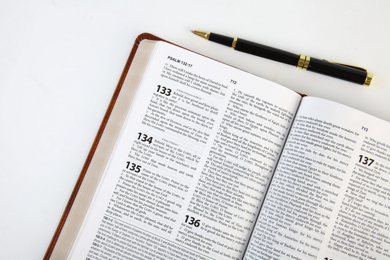 The KJV Study Bible/Chestnut Brown