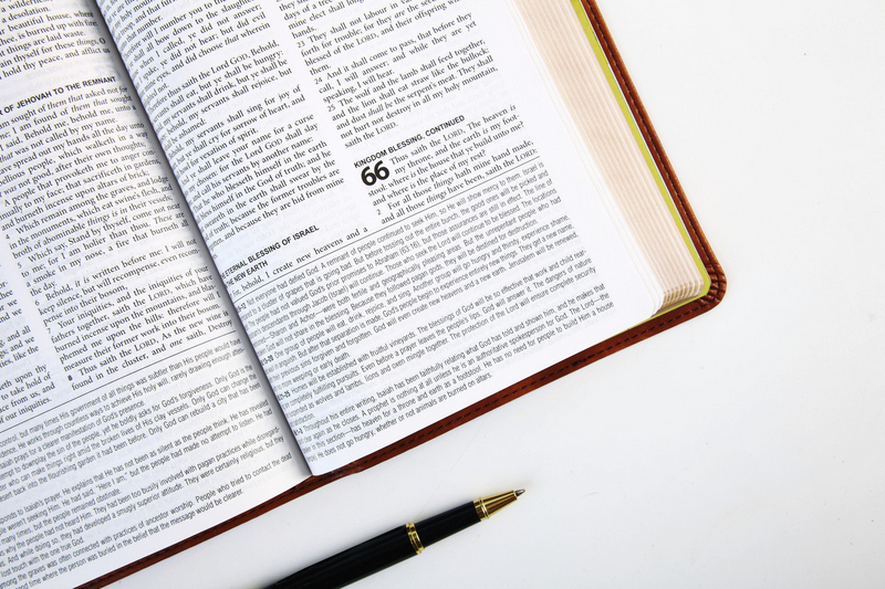 The KJV Study Bible/Chestnut Brown