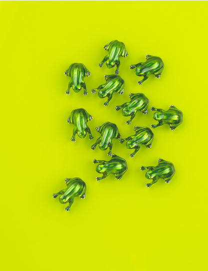 Lucky Little Frog Pocket Charm