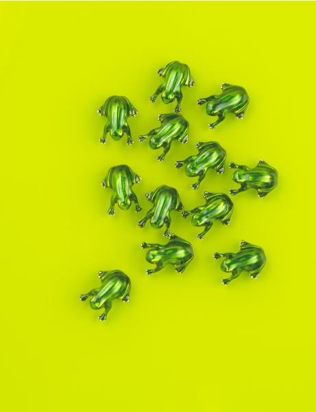 Lucky Little Frog Pocket Charm