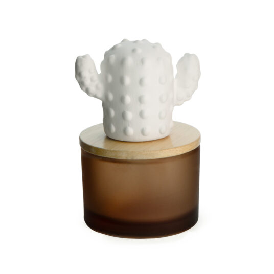 Cactus Porcelain Aroma Diffuser w/Peppermint Oil
