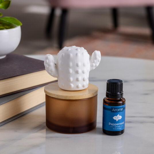 Cactus Porcelain Aroma Diffuser w/Peppermint Oil