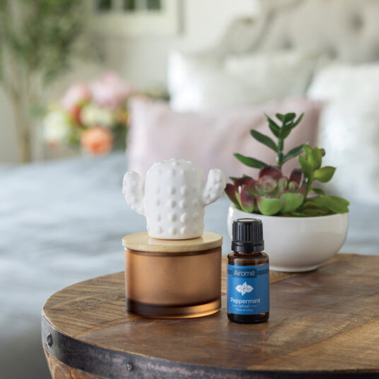 Cactus Porcelain Aroma Diffuser w/Peppermint Oil