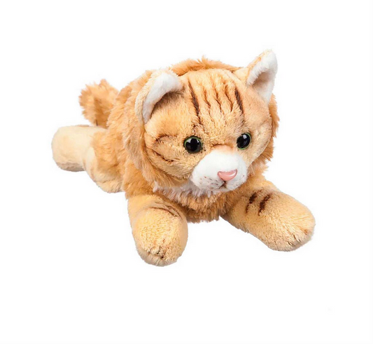 Maine Coon Cat Bean Bag Plush Toy
