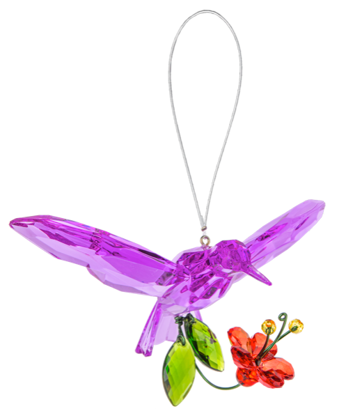 Sweet Flower Hummingbird