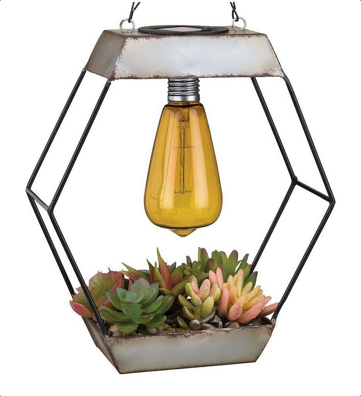 Diamond Shaped Edison Bulb Succulent Solar Lantern