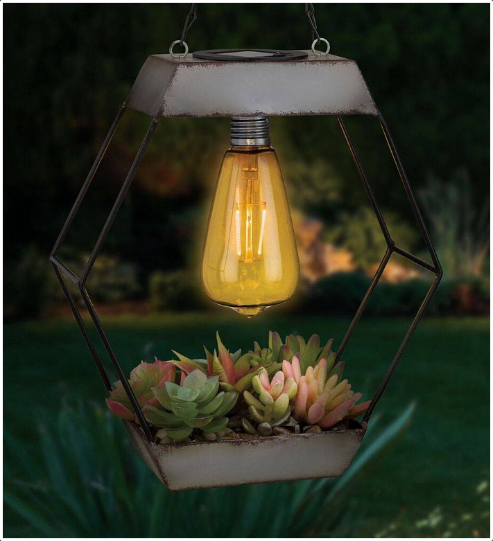 Diamond Shaped Edison Bulb Succulent Solar Lantern
