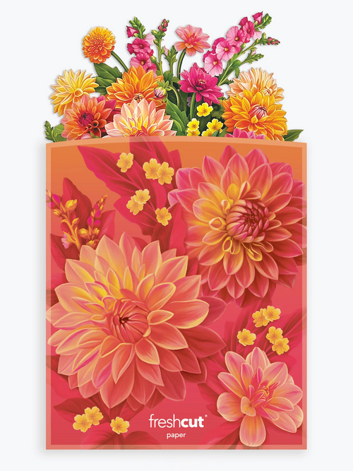 Dahlia Sunrise FreshCut Paper Pop-Up Flower Bouquet