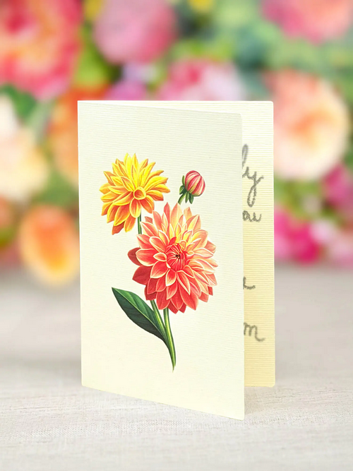 Mini Dahlia Sunrise FreshCut Paper Pop-Up Greeting Card