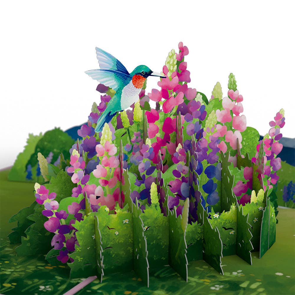 Lupine Hummingbird Lovepop Card