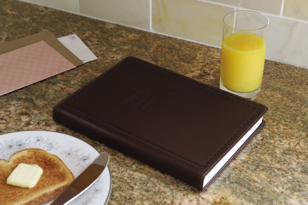 NIV Value Thinline Bible, Large Print, Leathersoft, Brown